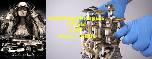 PSILOCYBIN Иннополис