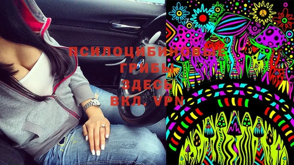 PSILOCYBIN Иннополис