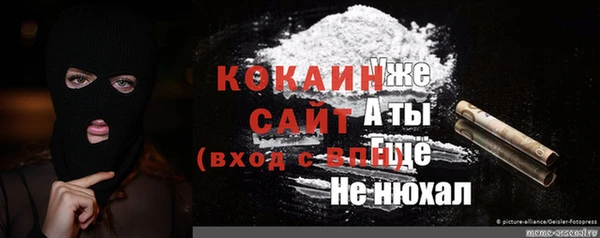 PSILOCYBIN Иннополис