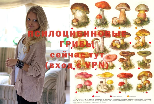 PSILOCYBIN Иннополис