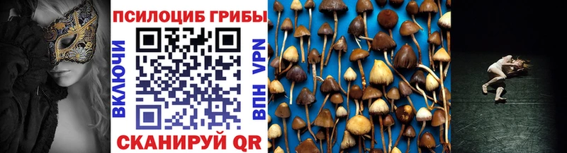 гидра онион Фрязино Псилоцибиновые грибы Cubensis